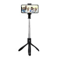 Stainless Steel Tubes 245 Degrees Swivel Mirror Bluetooth Selfie Stick with Tripod Stand